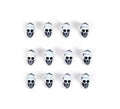 Pack de 12 Calaveras blancas decorativas