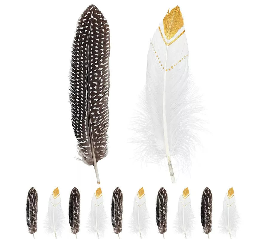 Pack de 12 Plumas de Indio en colores surtidos