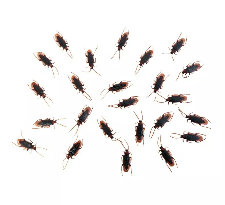Pack de 24 Cucarachas de 7x2 cm