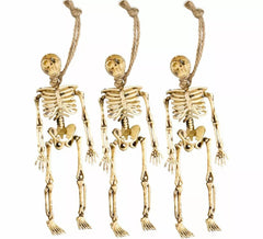 Pack of 3 15cm Skeletons