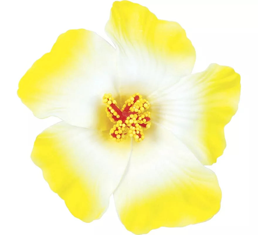 Pack de 3 Flores Hawaianas