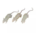 Pack de 3 Ratas Glow in the Dark de 7 cm