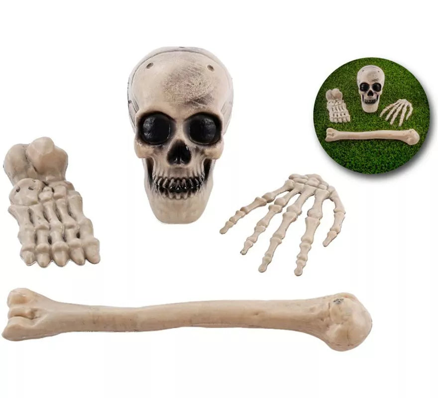Pack de 4 Huesos de Esqueleto