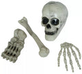 Pack de 4 Huesos Esqueleto
