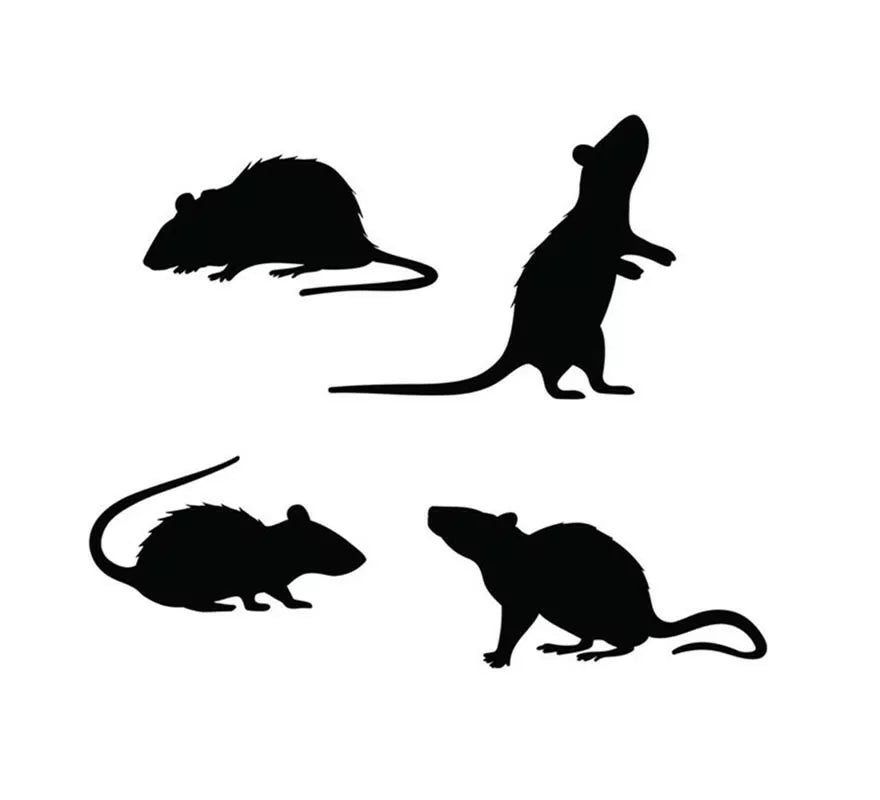 Pack de 4 Siluetas de Ratas negras