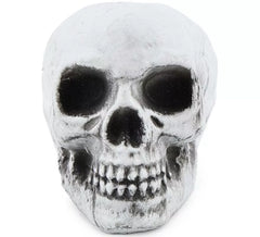 Pack of 6 Skulls