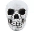 Pack de 6 Calaveras