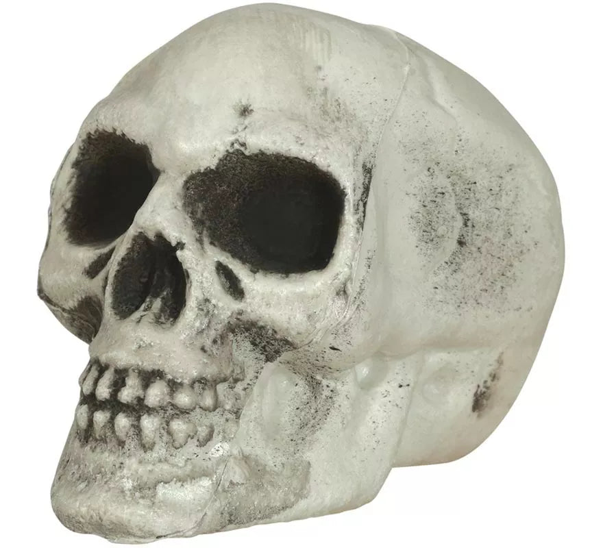 Translation missing: en.Pack de 6 Calaveras 8 cm
