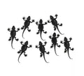 Pack de 8 Lagartijas negras decorativas