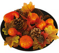 Pack Hojas de Calabaza y Piñas