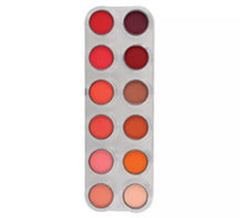 Rc Shadow Palette