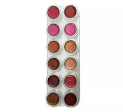 Lip Palette 12 Pearlescent Colors Lp