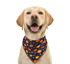 Pumpkin Pet Bandana