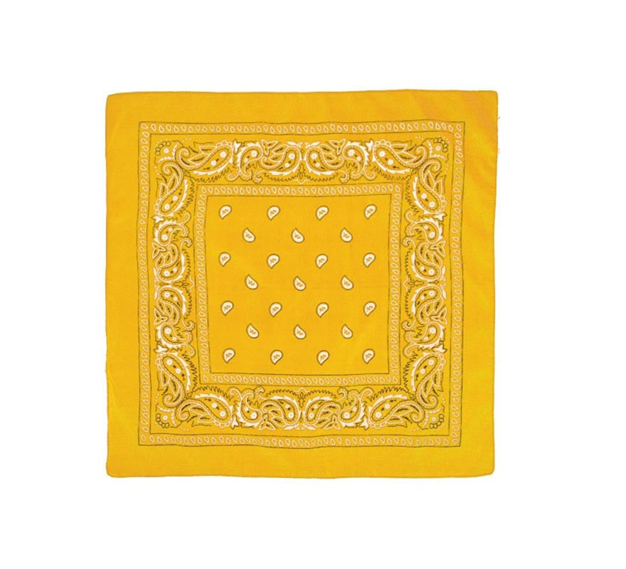 Translation missing: en.Pañuelo Paisley de 54x54 cm en varios colores