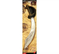 Parche y Espada de Pirata plateados 46cm