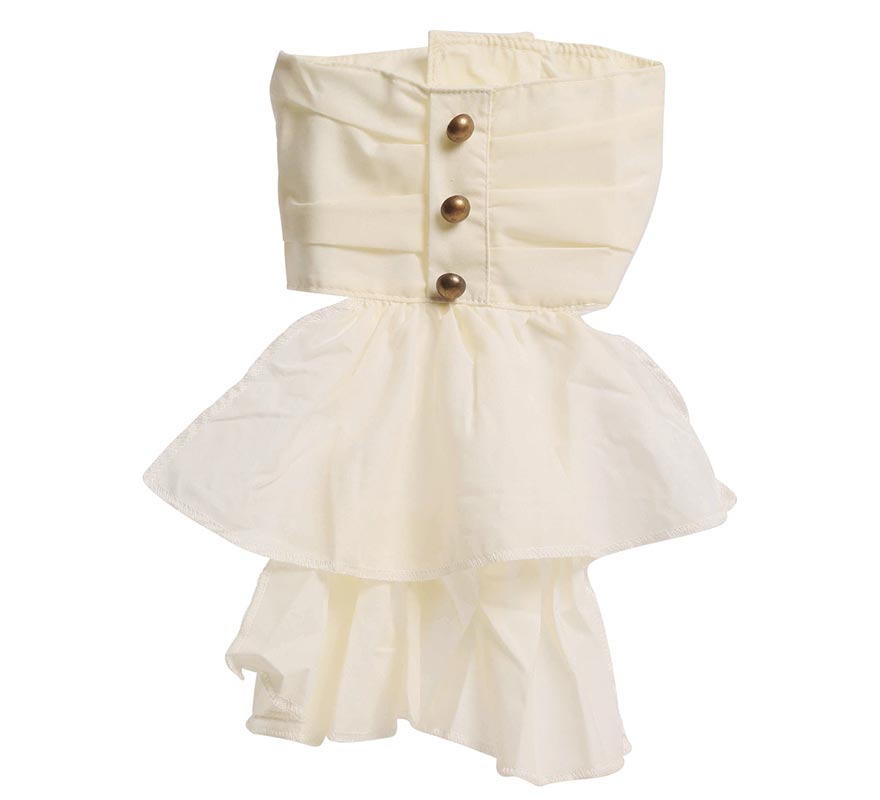 Pechera Blanca Steampunk