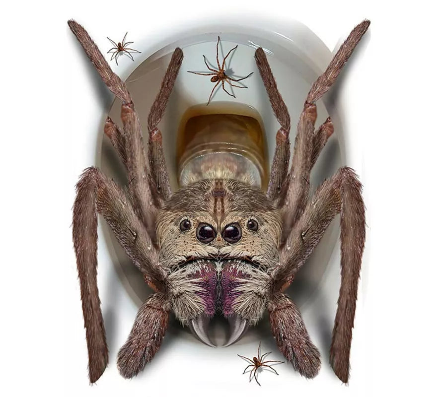 Pegatina Araña Gigante para tapa de inodoro de 30x40 cm