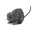 Pequeña Rata Peluda gris de 15 cm