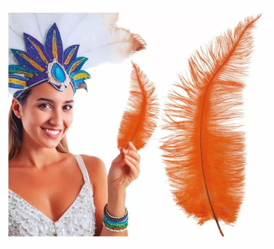 Pluma de Avestruz Grande en varios colores 40 cm