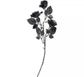 Ramo de Rosas negras con Ojos