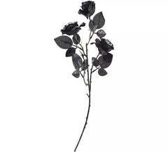 Bouquet of black roses with eyes