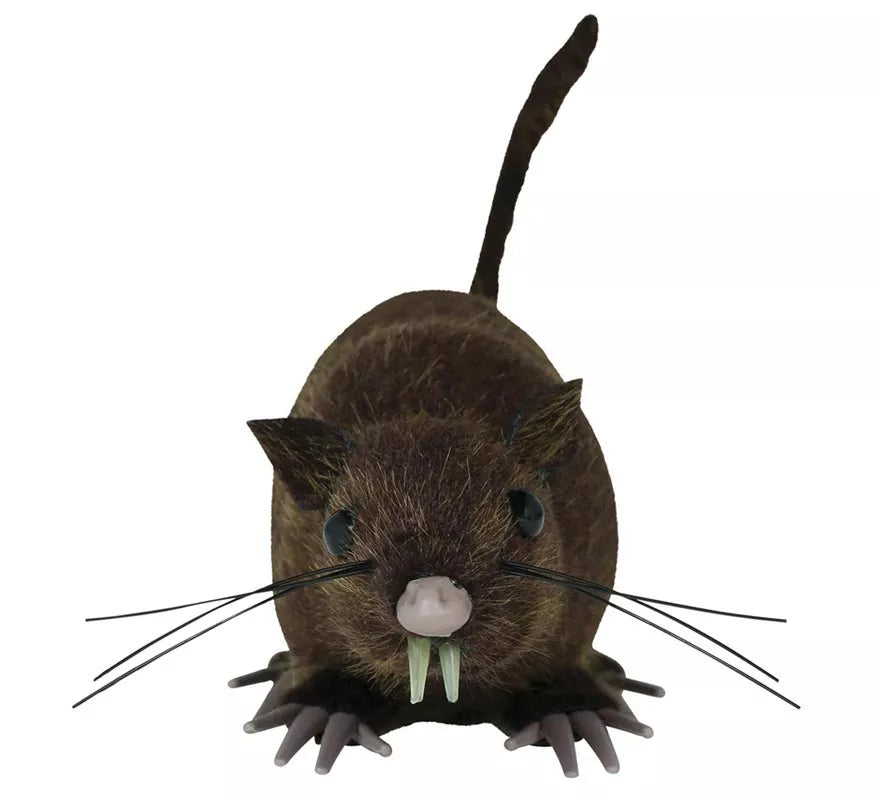 Rata Marrón de 15 cm