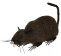 Rata Marrón de 15 cm