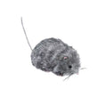 Ratón peludo gris de 27 cm