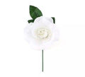 Rosa Flamenca Mediana en varios colores de 14 cm
