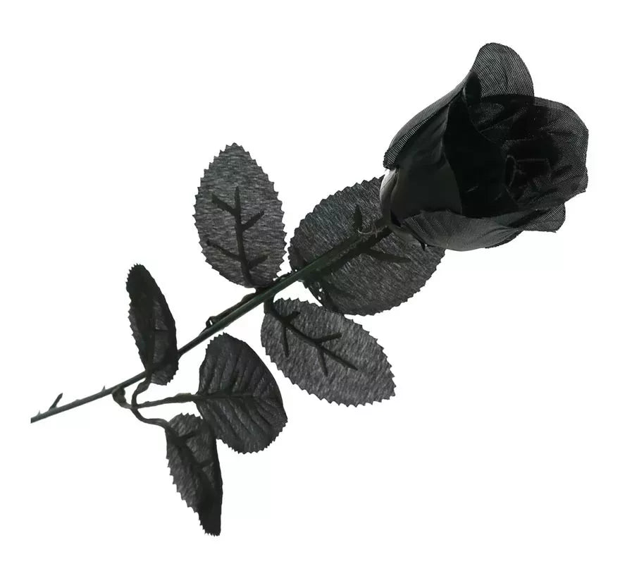 Rosa Negra 42 cm