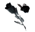 Rosa negra con hojas negras