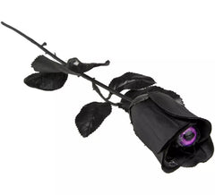 Black Rose with Purple Eye