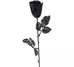 43cm black rose
