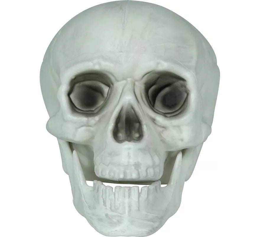 Translation missing: en.Set 3 Calaveras de 15 cm