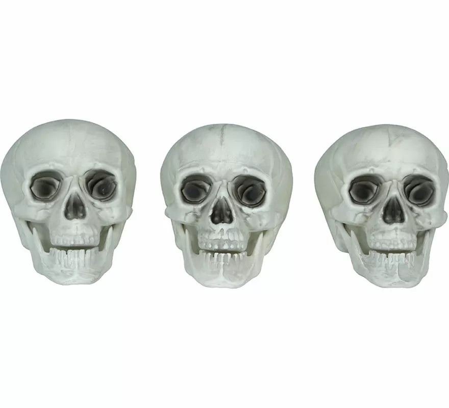 Translation missing: en.Set 3 Calaveras de 15 cm