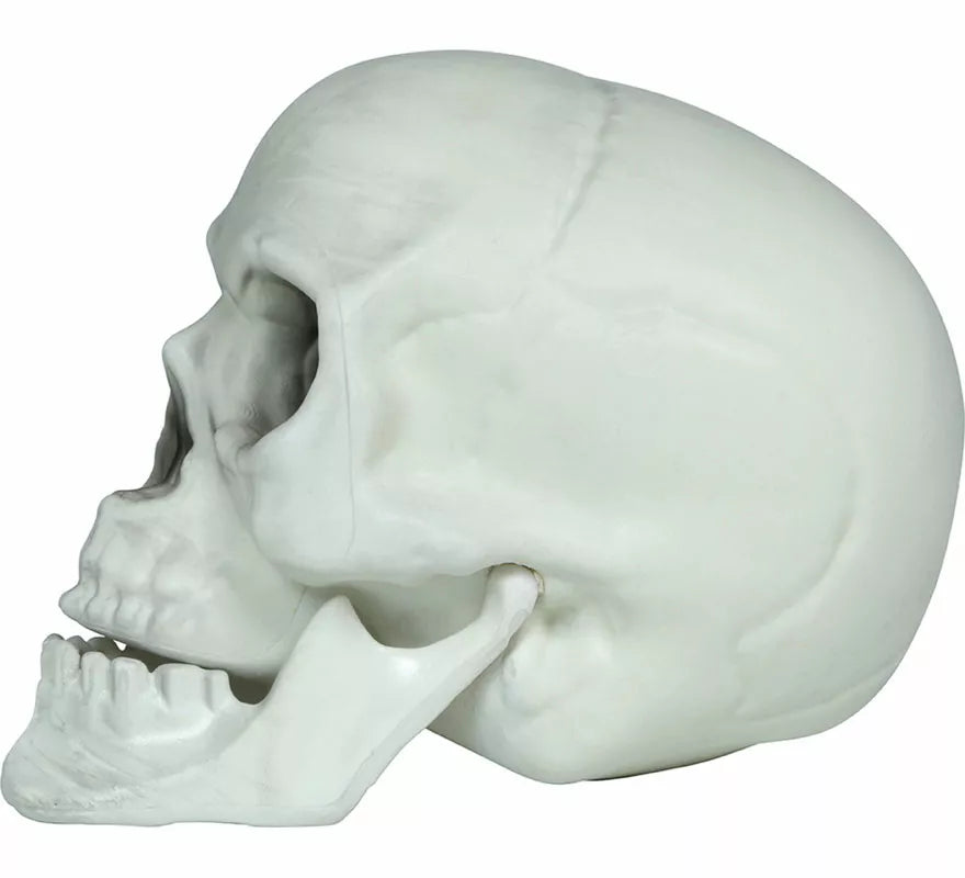 Translation missing: en.Set 3 Calaveras de 15 cm