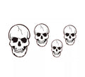 Set 4 Calaveras de 20 Cm hasta 45 Cm