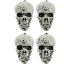 Set of 4 Skulls