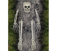 Skeleton Bones Set 5 Pieces
