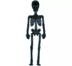 Fluorescent Skeleton Silhouette 90x30 cm