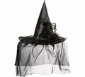 Sombrero de Bruja con Tul, Plumas y Araña