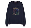 Sudadera Harry Potter Hogwarts Casas