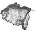 Tela de 150x80 cm
